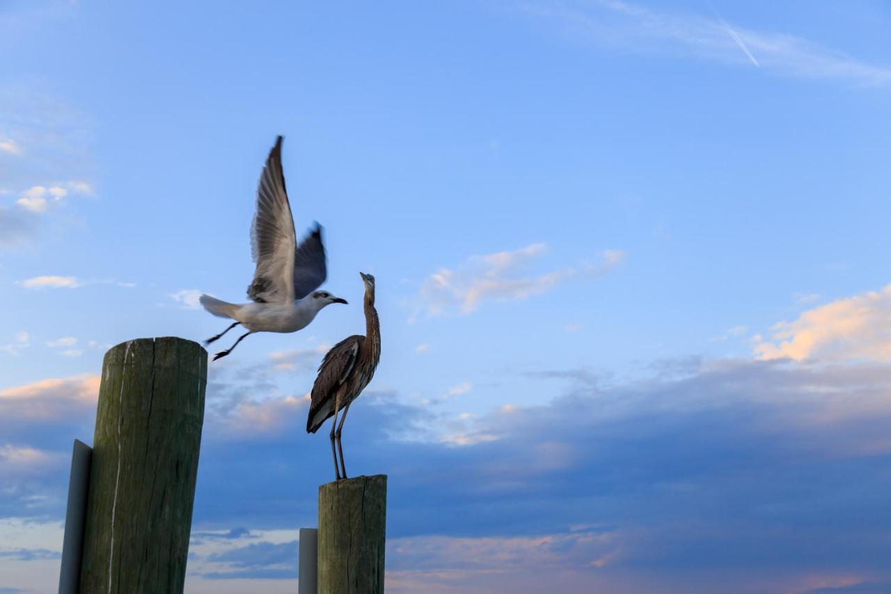Captains Walk Condos Hilton Head Island Exterior foto